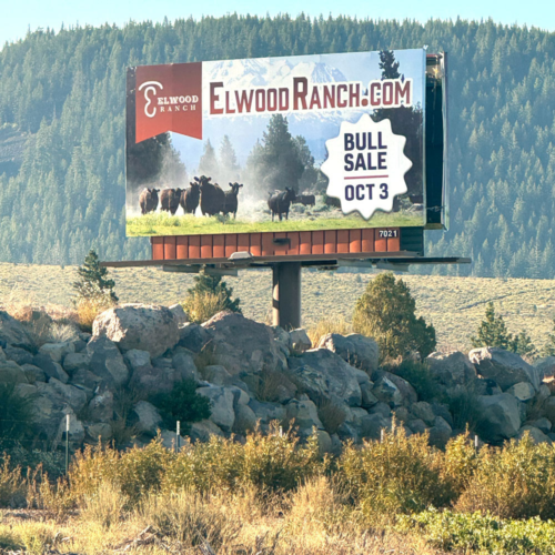 MCP-Outdoor-Advertising-11-11.webp